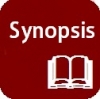 MBA Synopsis international